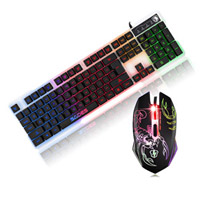 Mouse and keyboard