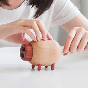 Puppet pig music box