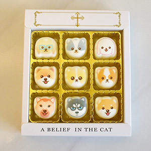 Husky puppy marshmallow gift box