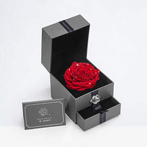 Roseonly Eternal Rose Gift Box