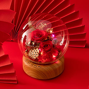 Preserved Rose Glass Cover Gift Box