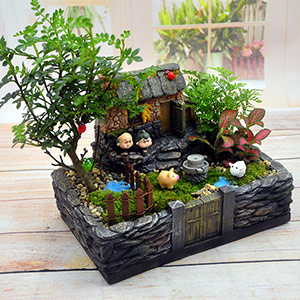 Creative moss micro landscape