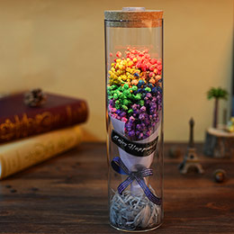 Gypsophila everlasting flower lantern