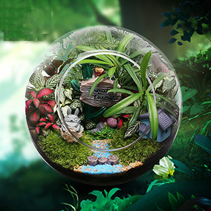 Micro landscape luminous eco bottle