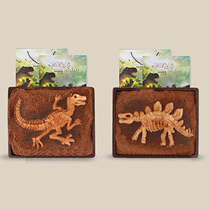 Dinosaur Fossil Chocolate Gift Box