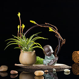 Buddhist Zen purple sand pot micro landscape
