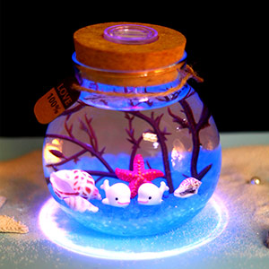 Undersea world micro landscape bottle