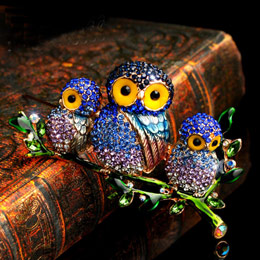 European and American enamel owl brooch