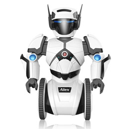 Eric intelligent remote control robot