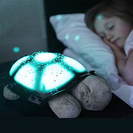 Sleeping Turtle Projector Lamp