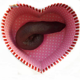 Heavy flavored poop chocolate
