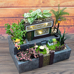 Creative moss micro landscape