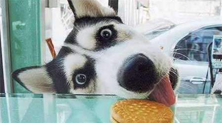 10 great prank gifts for foreign friends on April Fools' Day