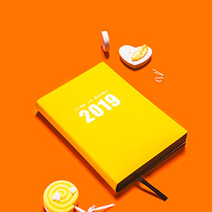2019 Timeline Notepad