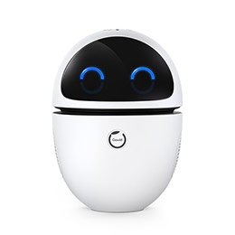Gongzi Xiaobai Intelligent Robot