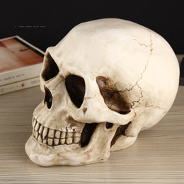 Creative skull large piggy bank