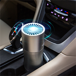 SKYISH Car Air Purifier
