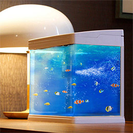 Mini tropical fish aquarium