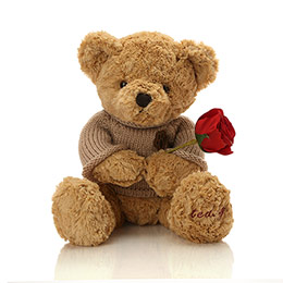 Classic Sweater Teddy Bear Doll