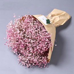 Gypsophila dried flowers bouquet gift box