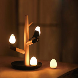 Happy magpie lantern
