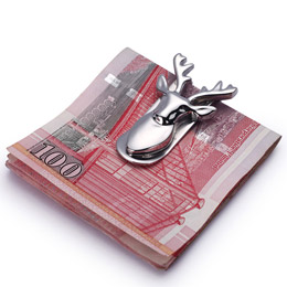 مشبك نقود من الفولاذ المقاوم للصدأ