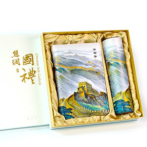 Silk Laptop Mouse Pad Set