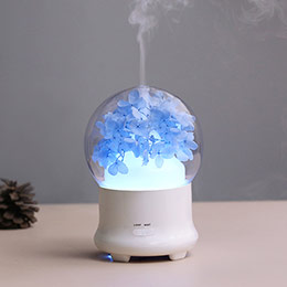 Preserved Flower Aromatherapy Humidifier