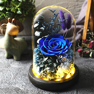 Blue Enchantress Eternal Rose