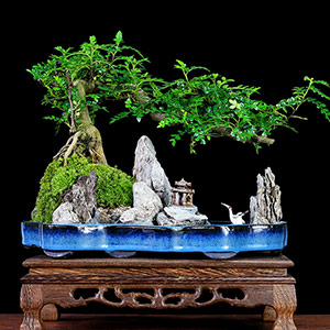Landscape rockery bonsai