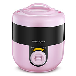 Fashionable mini double-layer rice cooker