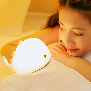 Creative Dolphin Night Light
