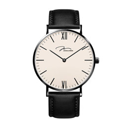 Veros stainless steel men's quartz watch