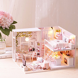 DIY pink assembled house