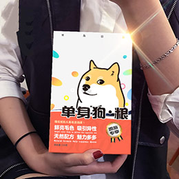 Single Dog Food Gift Box