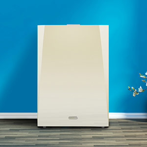 Japanese Double Bird Air Purifier