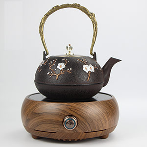 Japanese style iron kettle