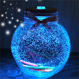 Luminous star wishing bottle