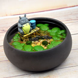Seaweed ball hydroponic micro landscape