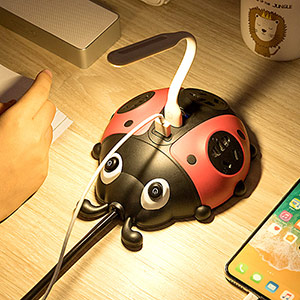 Creative ladybug multifunctional socket