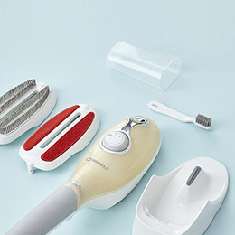 Portable Mini Steam Iron