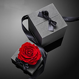 Roseonly Eternal Rose Gift Box