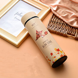Cute cartoon thermos cup