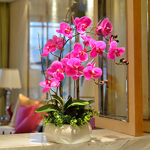 Artificial Phalaenopsis flower set