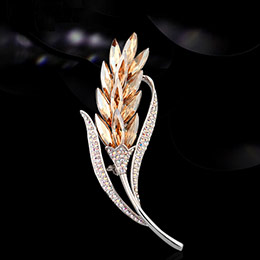French eternelle crystal brooch