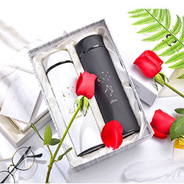 Zodiac Couple Thermos Cup