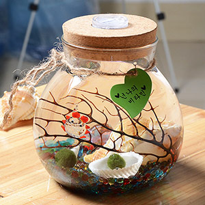 Micro Landscape Seaweed Eco Bottle