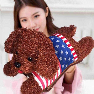 Cute Teddy Electric Hand Warmer