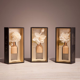 Flameless Aromatherapy Essential Oil Gift Box