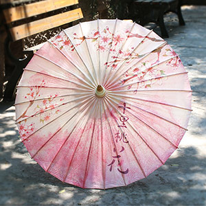 Plum, orchid, bamboo and chrysanthemum craft oil-paper umbrella